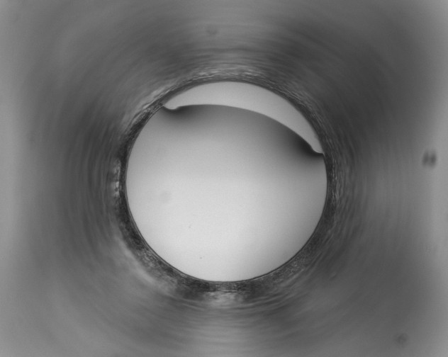 X0000114000356200910231757