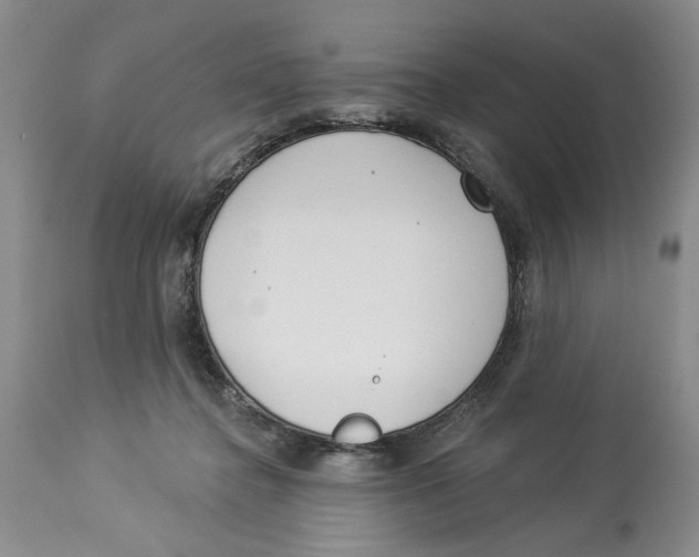 X0000114000364200910231757