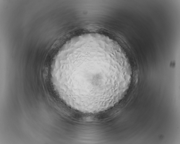 X0000114000365200910231757