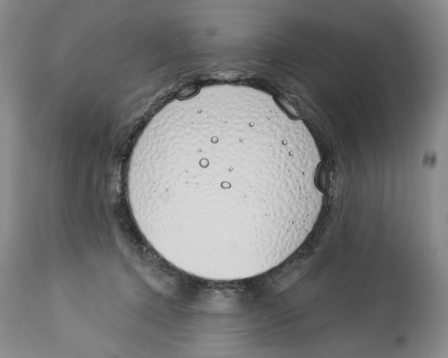 X0000114000368200910231757