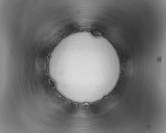 X0000114000372200910231758