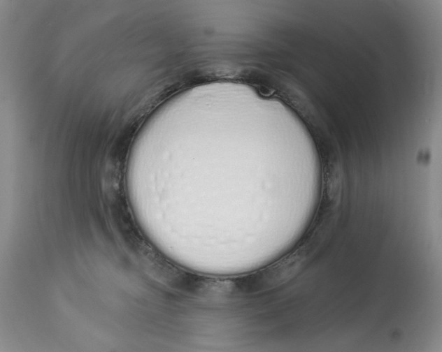 X0000114000374200910231758