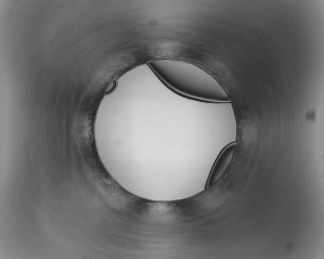 X0000114000380200910231758