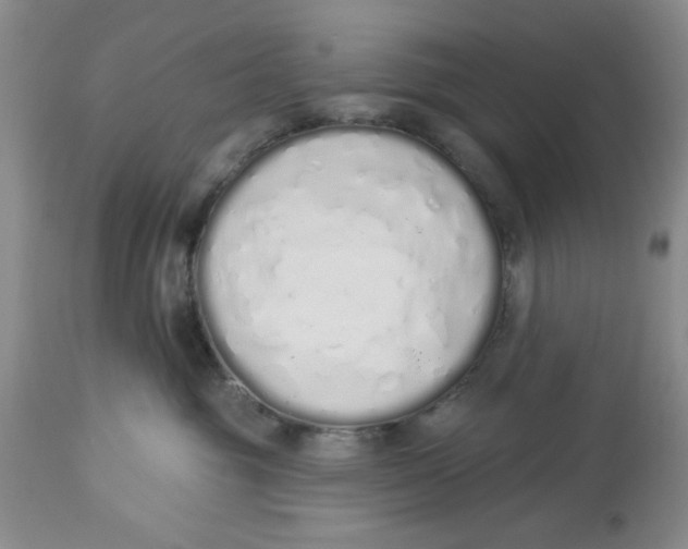 X0000114000381200910231758