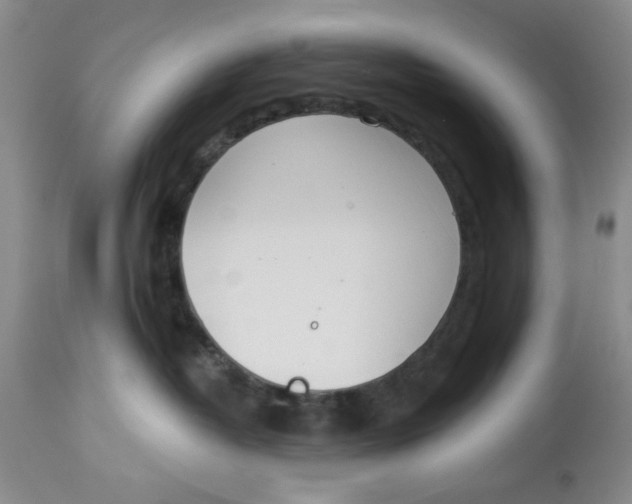 X0000114000382200910231758