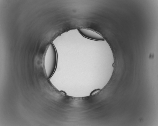 X0000114000384200910231758