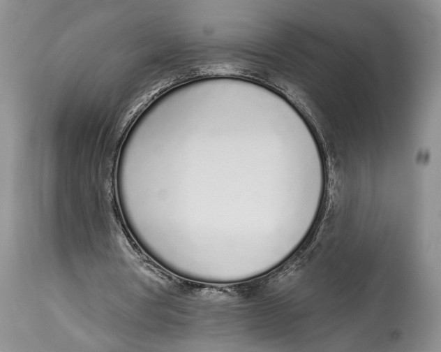 X0000114000386200910231757