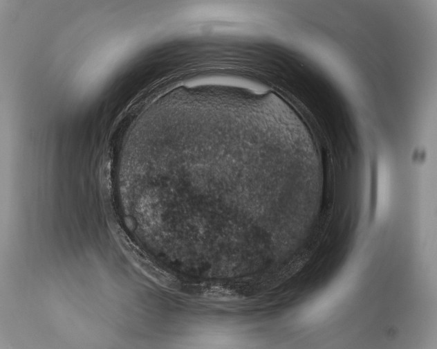 X0000114000387200910231757