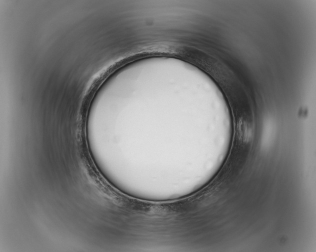 X0000114000388200910231757