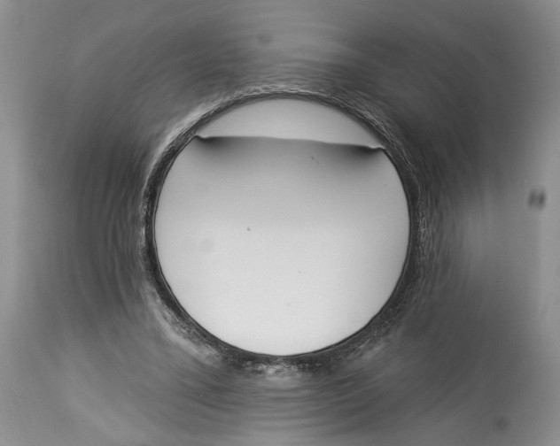 X0000114000395200910231757