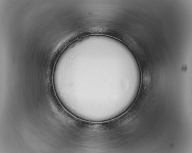 X0000114000396200910231757