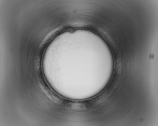 X0000114000400200910231757