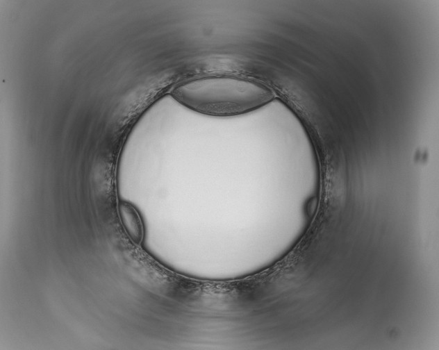 X0000114000401200910231757