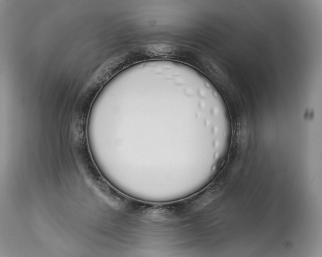 X0000114000408200910231757
