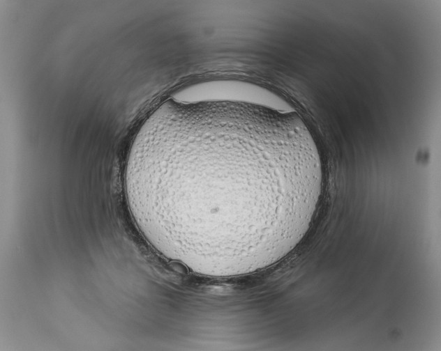 X0000114000411200910231757