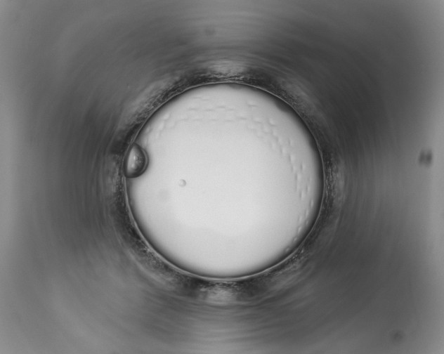 X0000114000412200910231757