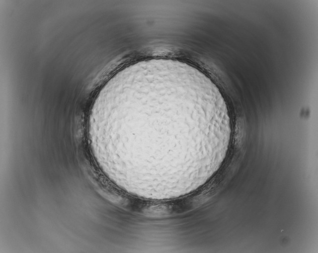 X0000114000413200910231757
