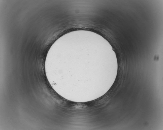 X0000114000415200910231756