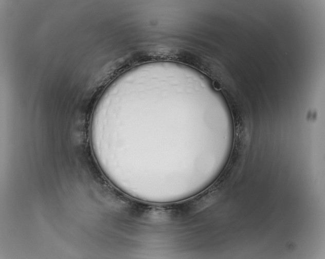 X0000114000416200910231756