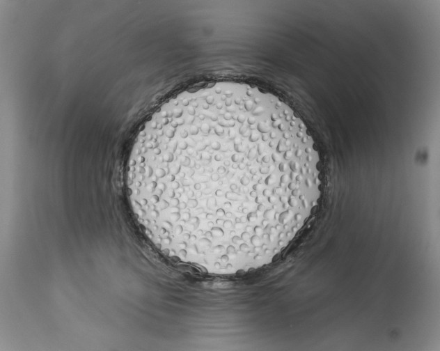 X0000114000419200910231756