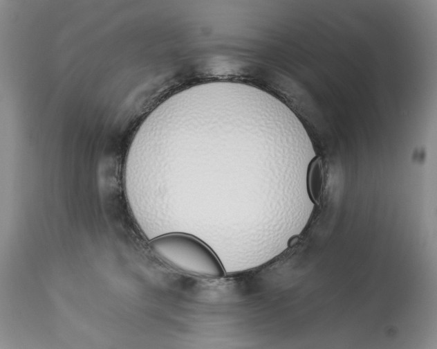 X0000114000421200910231756