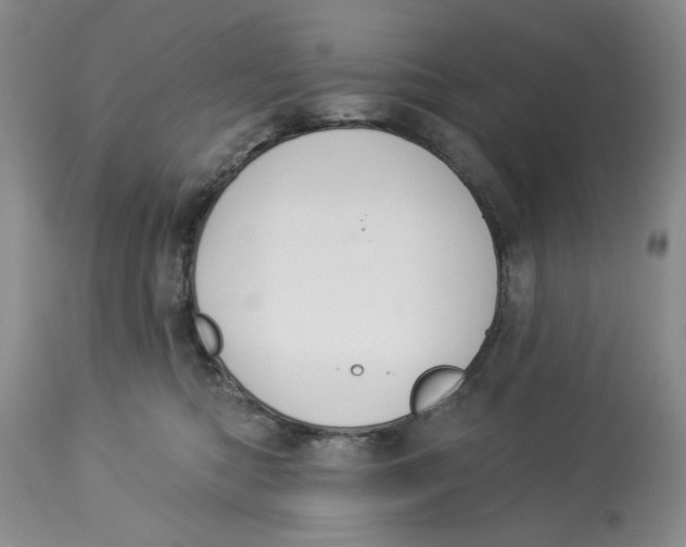 X0000114000422200910231756