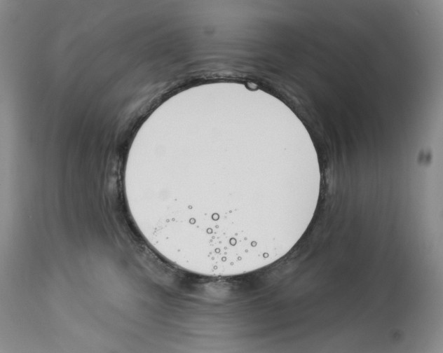 X0000114000423200910231756