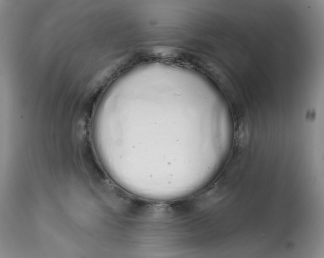 X0000114000424200910231756