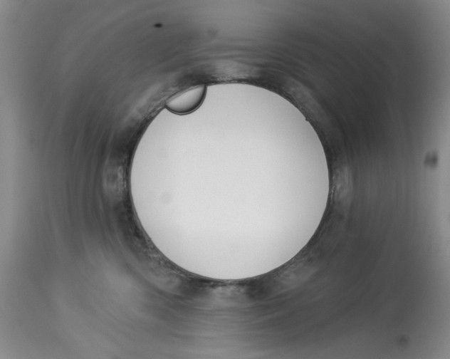 X0000114000426200910231756