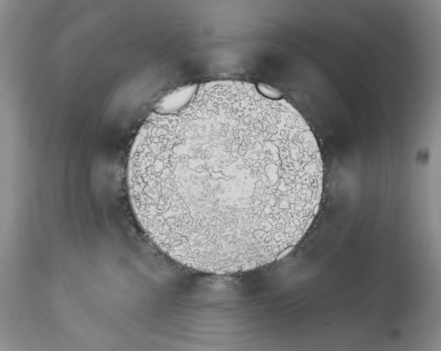 X0000114000427200910231756