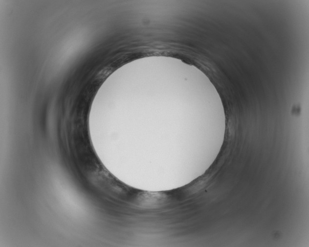 X0000114000429200910231756