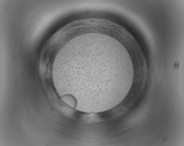 X0000114000431200910231756