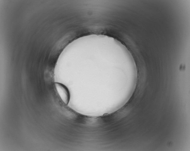 X0000114000432200910231756