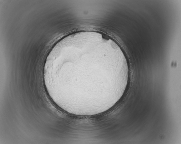 X0000114000433200910231756