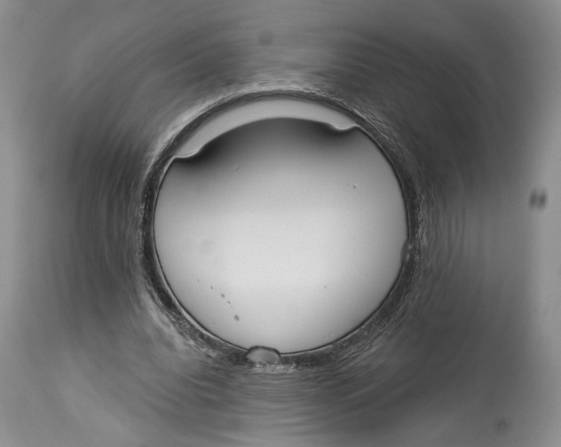 X0000114000440200910231756
