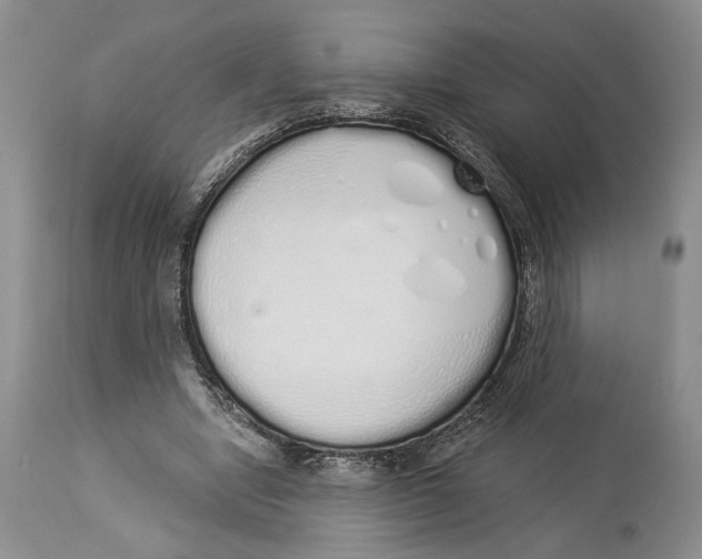 X0000114000442200910231756