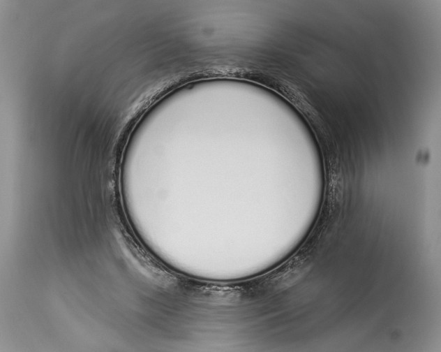 X0000114000443200910231756