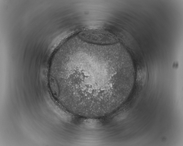 X0000114000444200910231756
