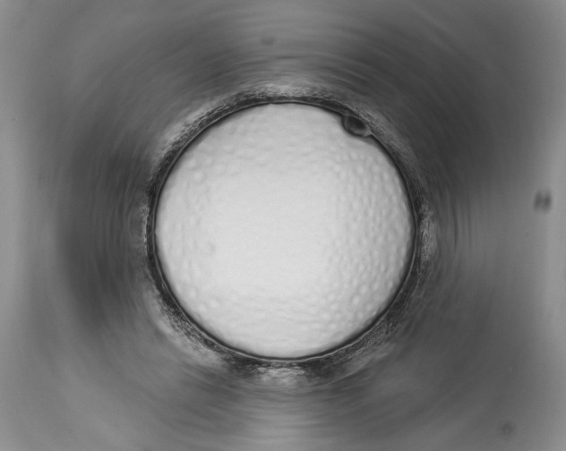 X0000114000446200910231756