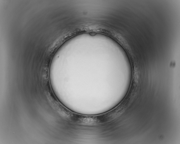 X0000114000449200910231756