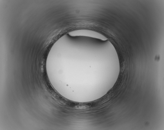 X0000114000452200910231756