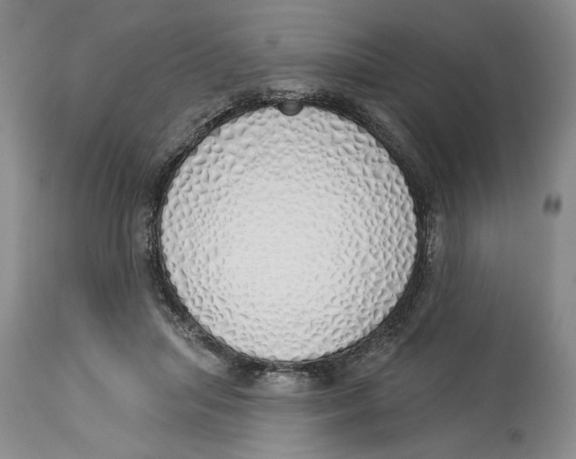 X0000114000455200910231756