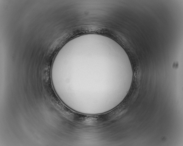 X0000114000462200910231756
