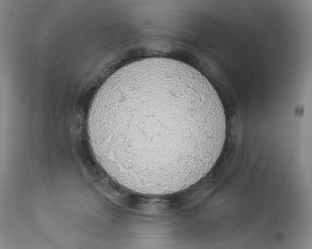 X0000114000463200910231756