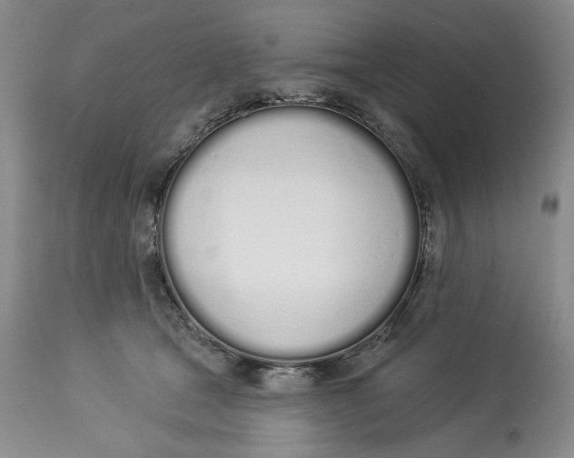 X0000114000465200910231756