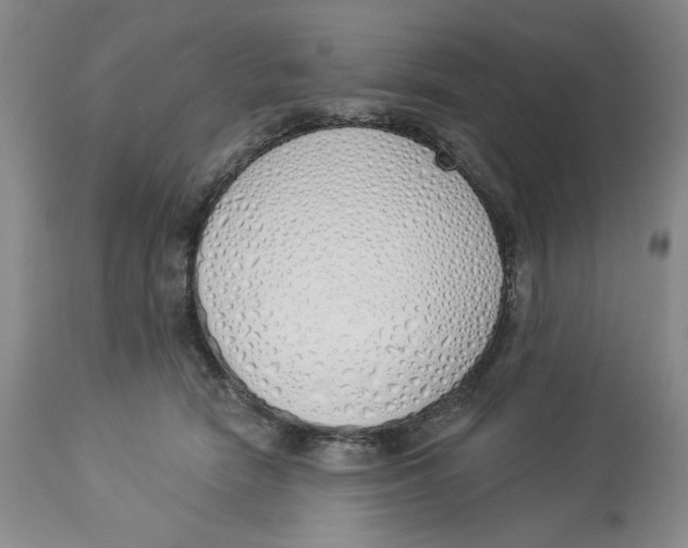 X0000114000466200910231756
