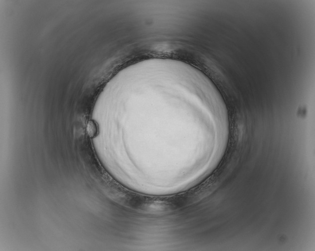 X0000114000467200910231756