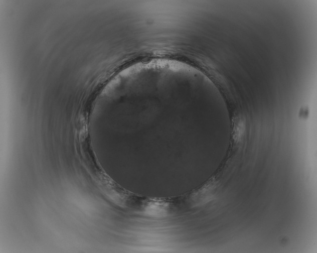 X0000114000471200910231756