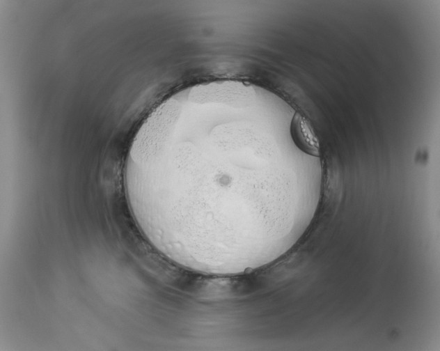 X0000114000473200910231756