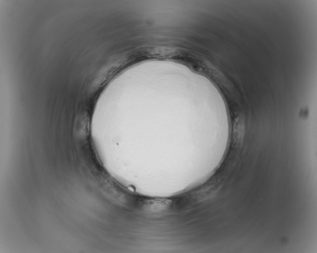 X0000114000474200910231756